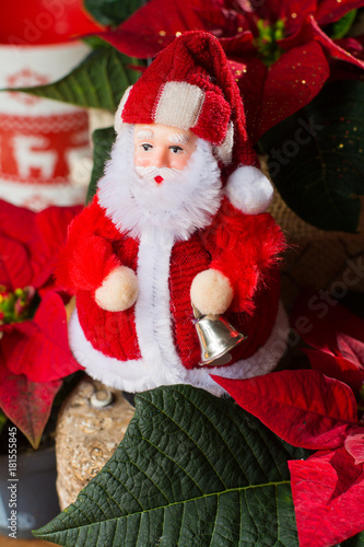 Wallpaper Mural Christmas star red poinsettia flowers and Santa Claus, Christmas decoration Torontodigital.ca