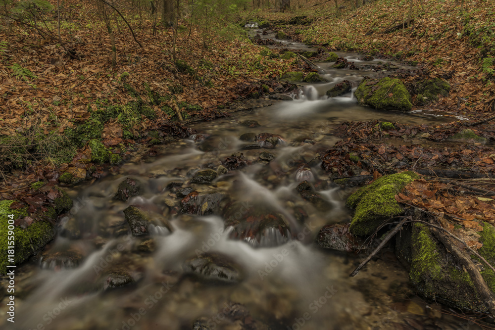 Fototapeta premium Bansky creek near Spania Dolina village