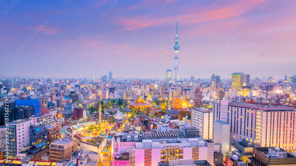 Naklejka premium Panorama strzał z panoramę miasta Tokio