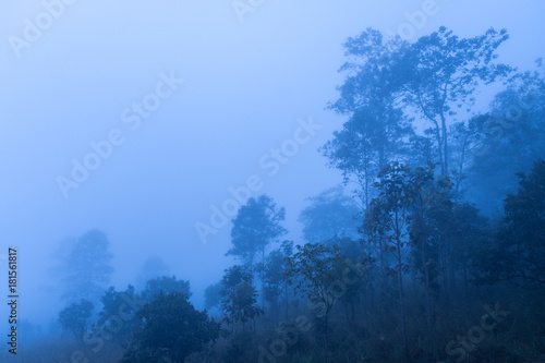 Landscape fog in morning before sunrise at Thung Salang Luang National Park Phetchabun,Tung slang luang is Grassland savannah in Thailand