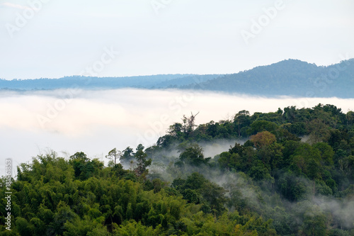 Fog in forest with morning sunrise at Khao Takhian Ngo View Point at Khao-kho Phetchabun,Thailand