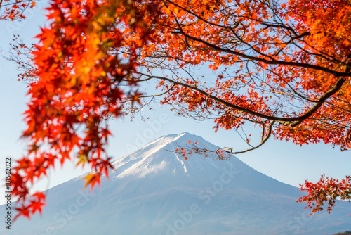 Mt. Fuji in autumn with red maple leaves photo