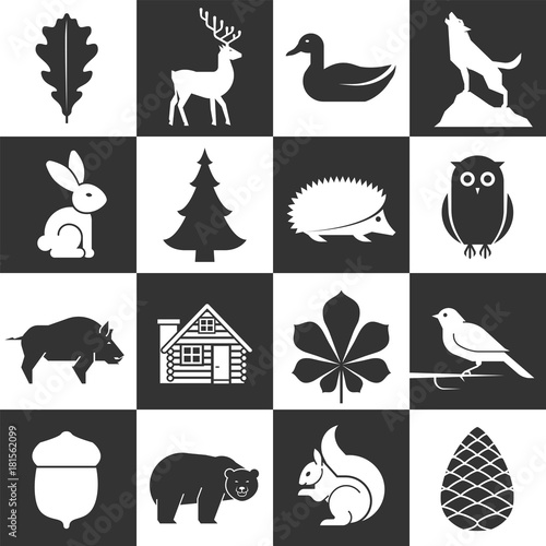 Set of forest icons. 
Collection of forest and parks signs. Eco tourism icons. 
