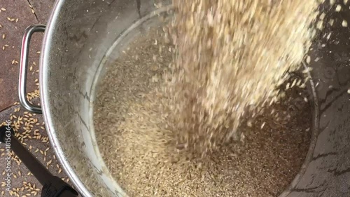 Pouring milled grains from grist mill into mash tun for home brewing beer photo