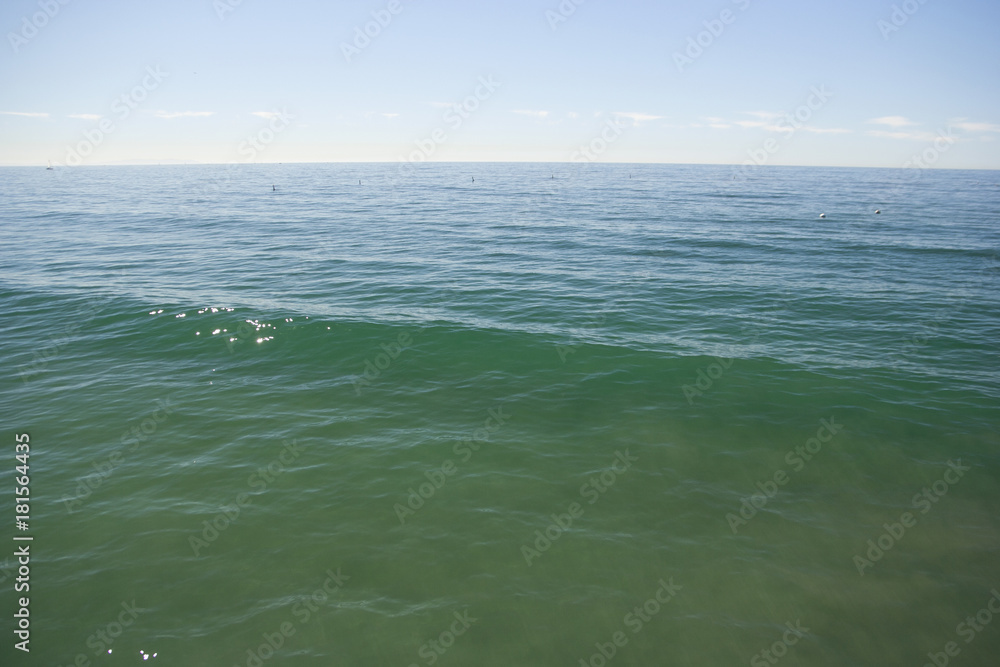 Obraz premium Pacific Ocean (California coast)