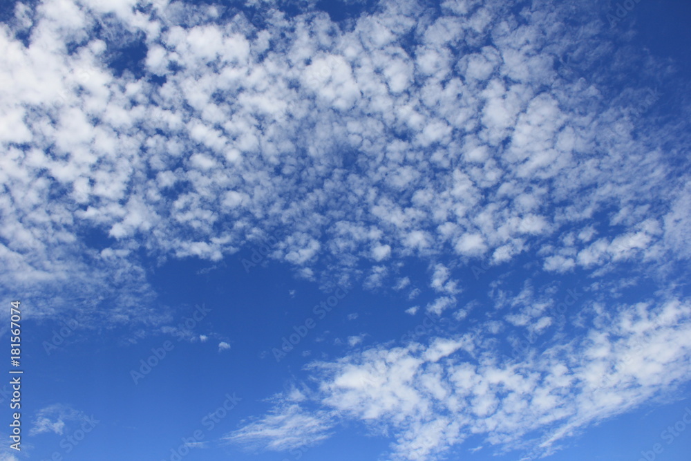初秋の空に広がるうろこ雲 いわし雲 さば雲 Stock 写真 Adobe Stock 初秋の空に広がるうろこ雲 いわし雲 さば雲 Stock 写真 Adobe Stock