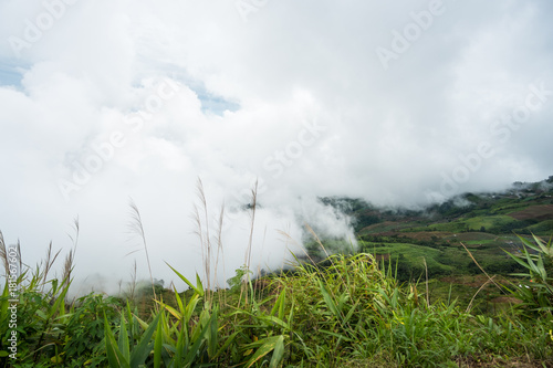 Landscape of hill and mist from the top of mountain