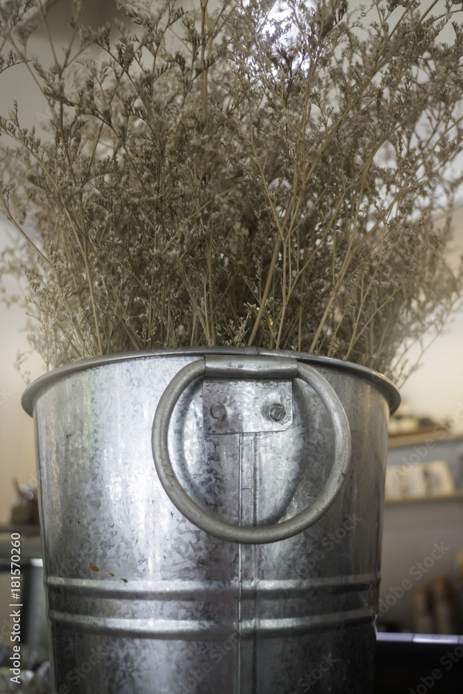 Dried little white flowers in bucket Dried little white flowers in bucket