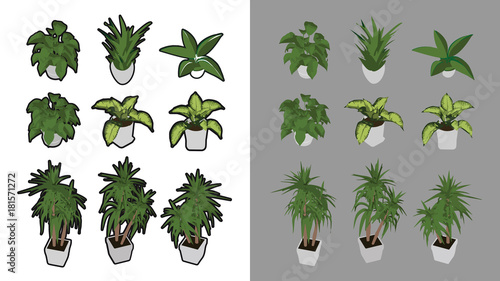 9 Isometric houseplants with and without black outline