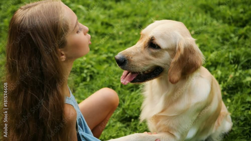 Beautiful labrador dog giving his paw to a pretty teen girl. Green grass background. Beautiful labrador dog giving his paw to a pretty teen girl. Green grass background.