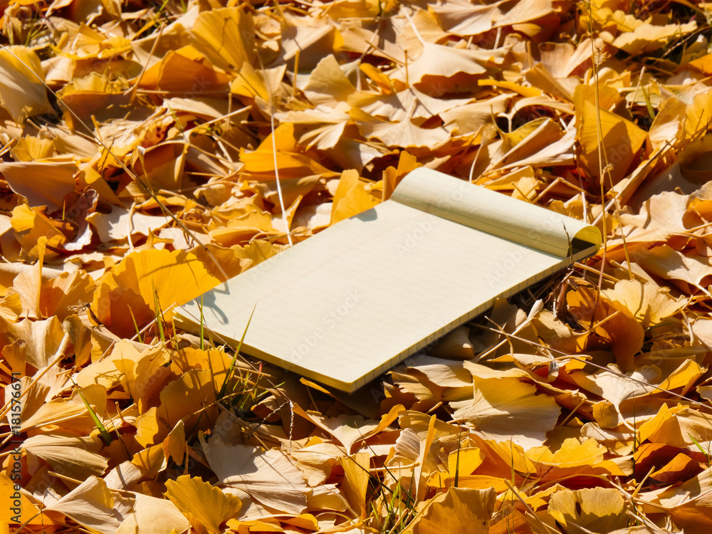 Note pad on the Fallen autumn leaves background
