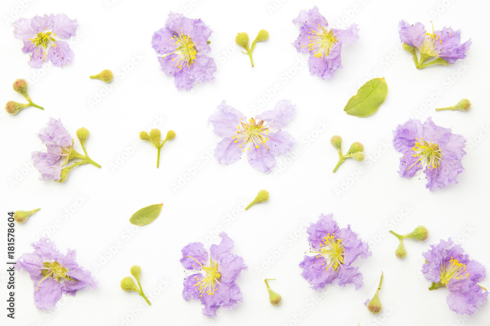 Flowers composition. Pattern purple flowers and leaves on white background. Flowers composition. Pattern purple flowers and leaves on white background.