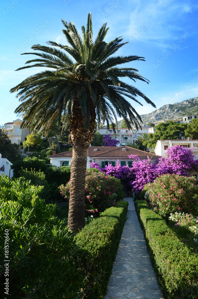 Obraz premium Croatian garden