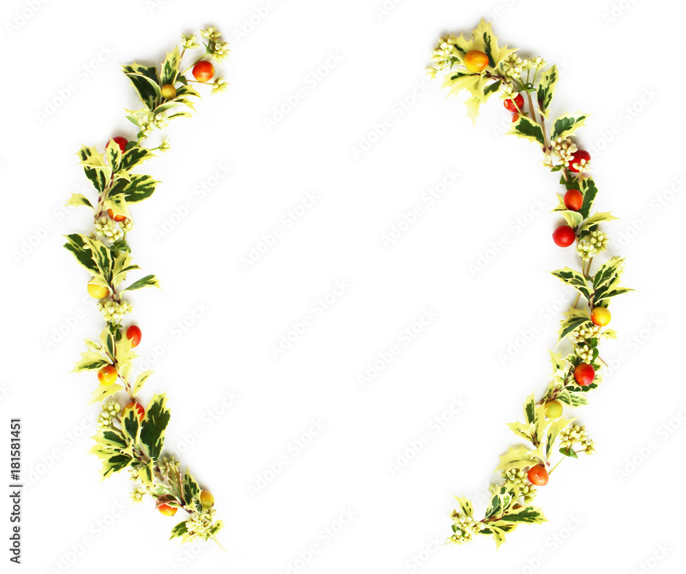Naklejka premium ヒイラギの葉とクマタケランの実とツルソバの花のクリスマスの飾り