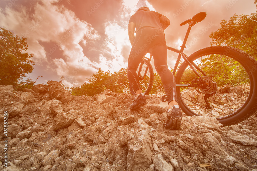 custom made wallpaper toronto digitalMountain bike