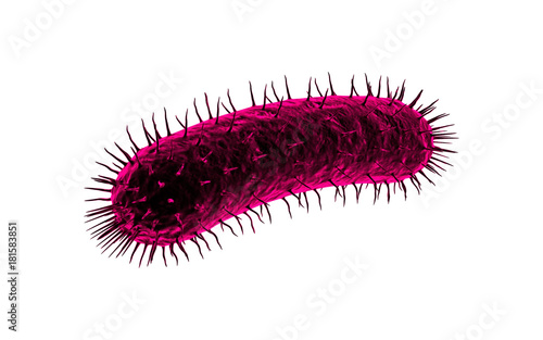 3d rendered Bacteria cells in white background photo