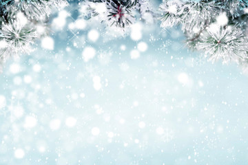 Winter background, falling snow on pine tree branches copy space 