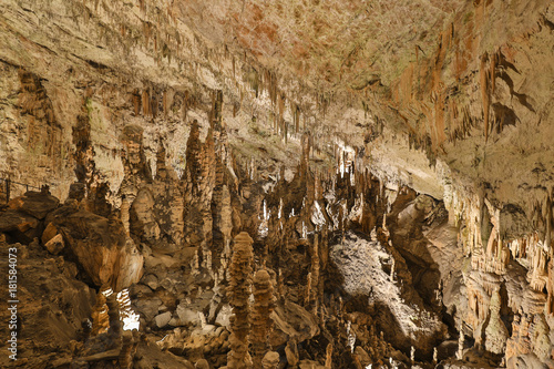 Postojna Cave  Slovenian  Postojnska jama  Italian  Grotte di Postumia  is a 20 570 m long Karst cave system