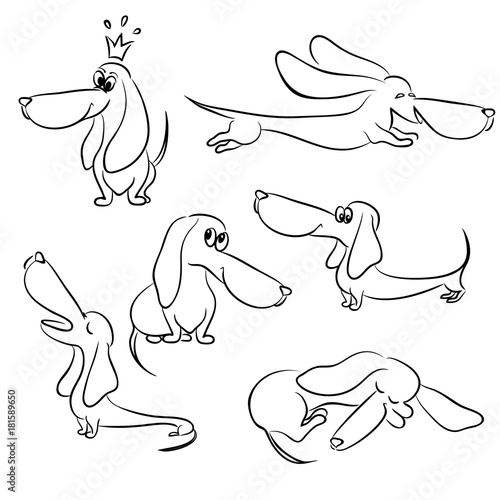 contour vector illustration of dachshund dogs set 