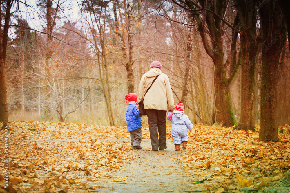 grandmother with kids walk in nature grandmother with kids walk in nature