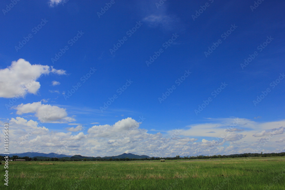 sky and farm