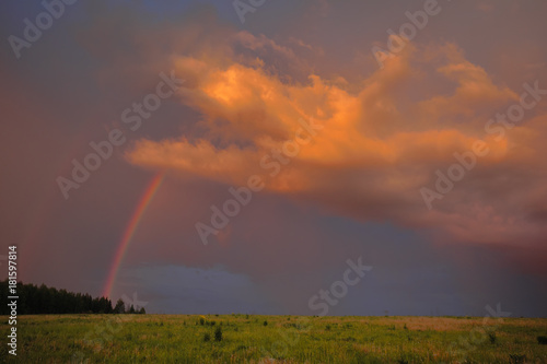 Rainbow in summer in the field