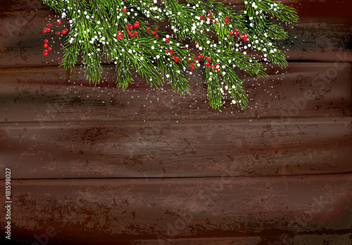 Fir tree and berries on dark background