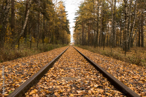 Old museum railway made for...