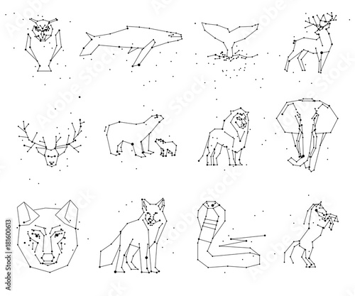 Collection of animals constellation on white background. Wild animals with line and stars, horoscope style. Constellation animals for cards, elephant, owl, wolf and other animal