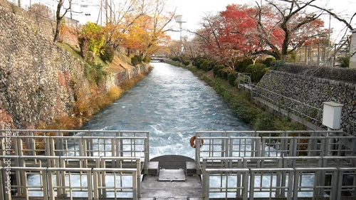 Flow of Tamagawa Josui near Hamura intake weir　
