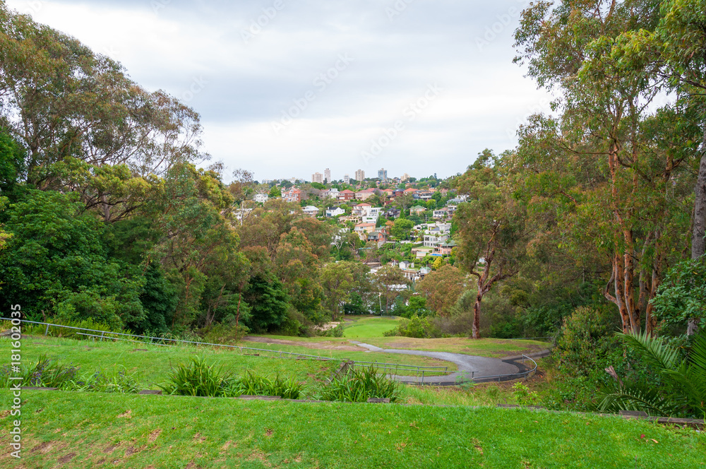 View on city suburb from the park