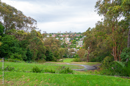 View on city suburb from the park