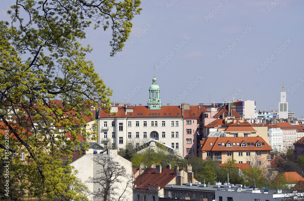 Obraz premium View from Havlickovy Sady Prague to Vrsovice district in Prague