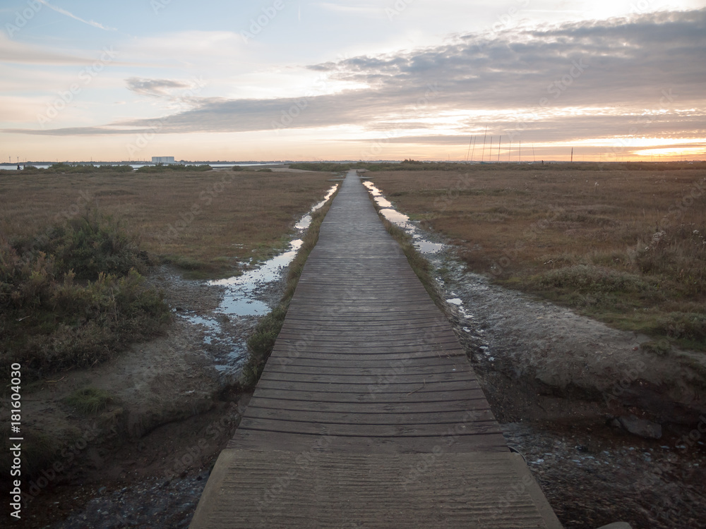 wooden walkway path leading ahead empty no people beach landscape