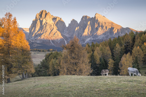 Alpe di Siusi with Mount Sassolungo and Mount Sassopiatto on yhe background, South tyrol, Italy photo