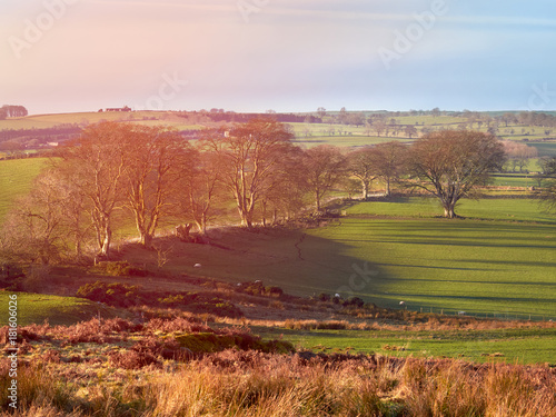 Red, Orange and yellow glow of a sunset over green pastures and trees in the English Countryside.