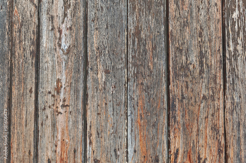 wooden door texture