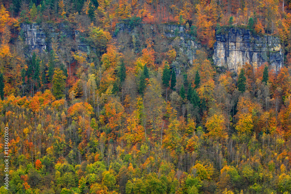 Rocky landscape during autumn. Beautiful landscape with stone, forest and fog. Sunset in Czech national park Ceske Svycarsko. Misty evening autumn nature. Landscape with rock hills. Dark day. Rocky landscape during autumn. Beautiful landscape with stone, forest and fog. Sunset in Czech national park Ceske Svycarsko. Misty evening autumn nature. Landscape with rock hills. Dark day.