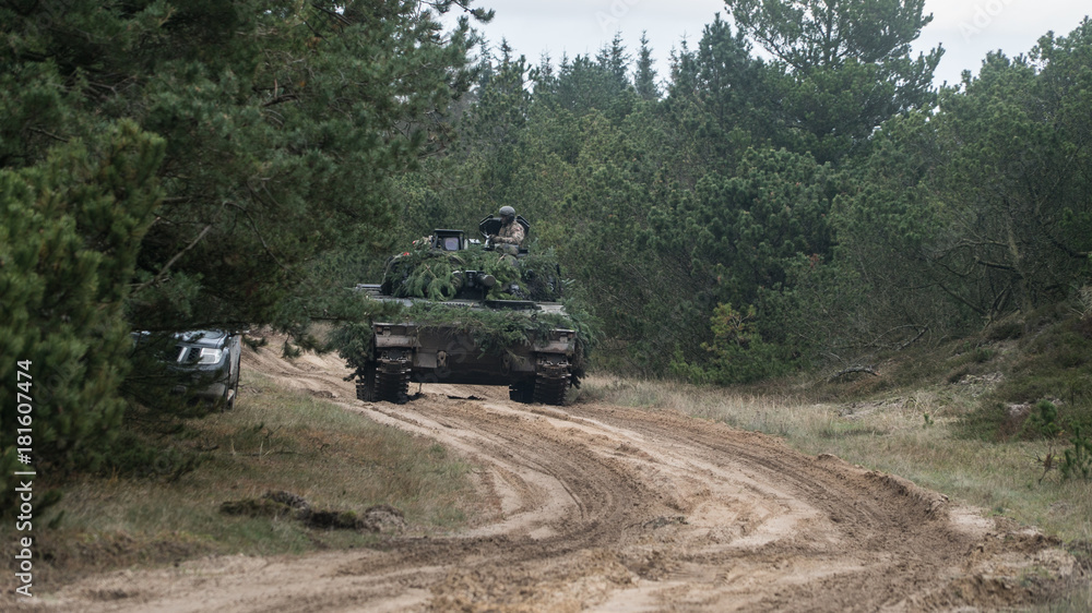 Fototapeta premium Exercise Brave Lion 2017