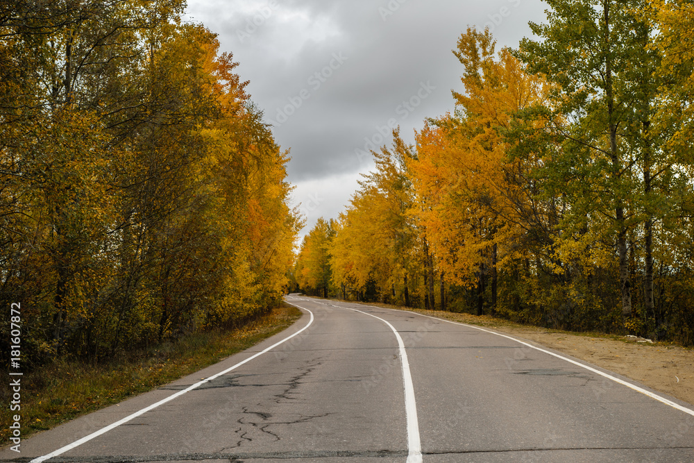 Rural autumn road in Leningrad Region, Russia
