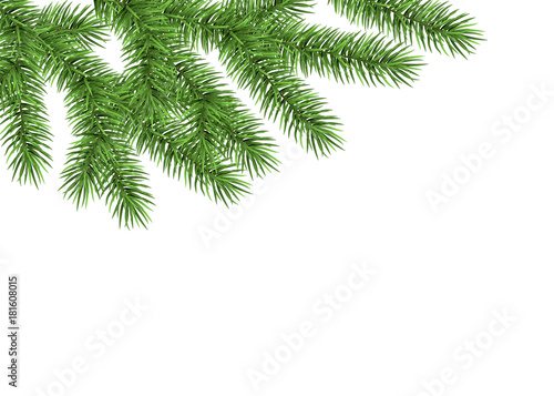 Xmas background with spruce branch.