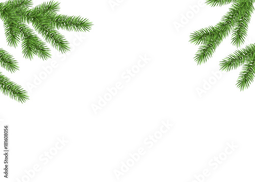 Xmas background with fir branch.