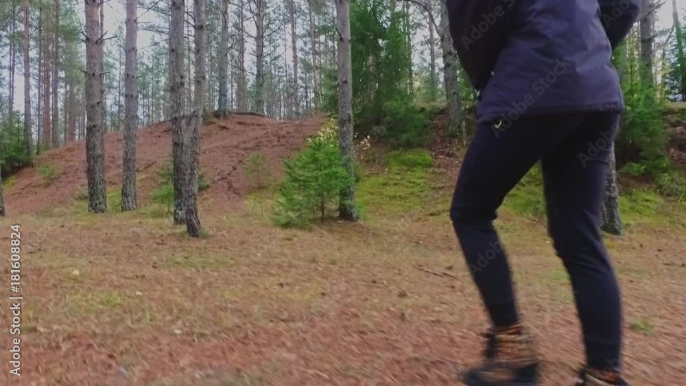 Young Female Walking among trees in forest. Slow motion footage. Amazing sunset, summer landscape. Young Female Walking among trees in forest. Slow motion footage. Amazing sunset, summer landscape.