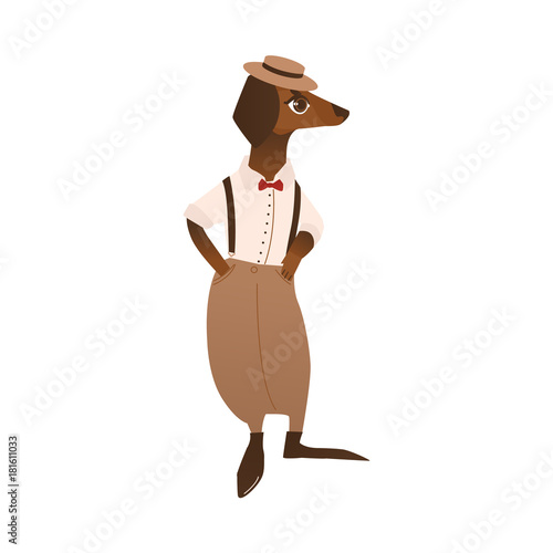 vector cartoon stylized humanized dog character. Male animal in formal clothing, pants on suspenders, hat and red bow standing. isolated illustration on a white background.