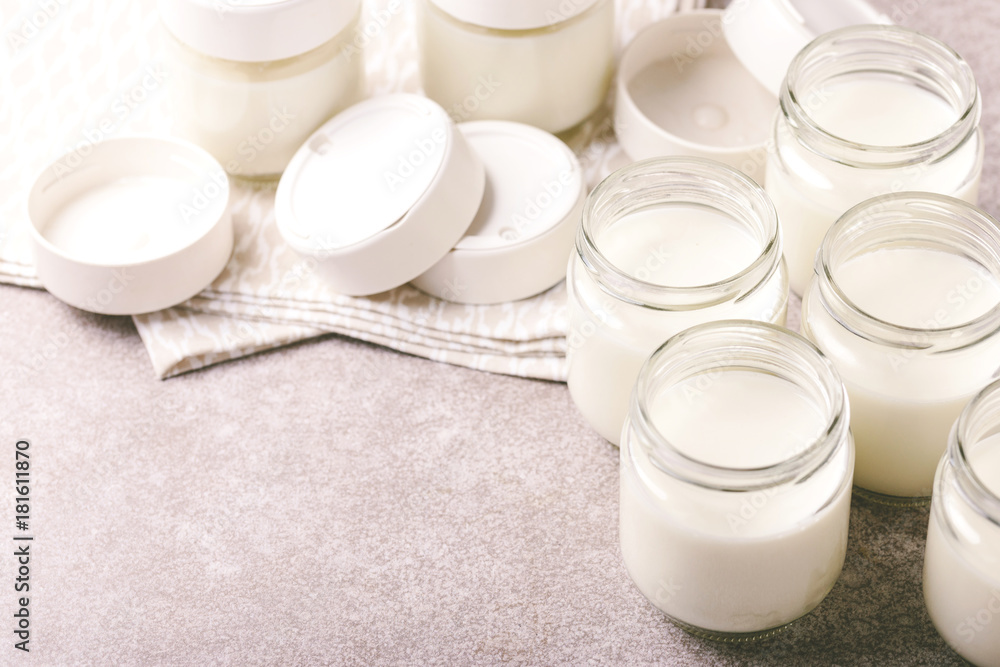 Homemade greek yogurt and yogurt maker. Healthy food Homemade greek yogurt and yogurt maker. Healthy food