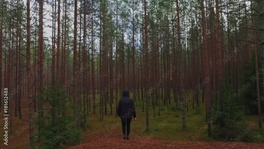 Young Female Walking among trees in forest. Slow motion footage. Amazing sunset, summer landscape. Young Female Walking among trees in forest. Slow motion footage. Amazing sunset, summer landscape.