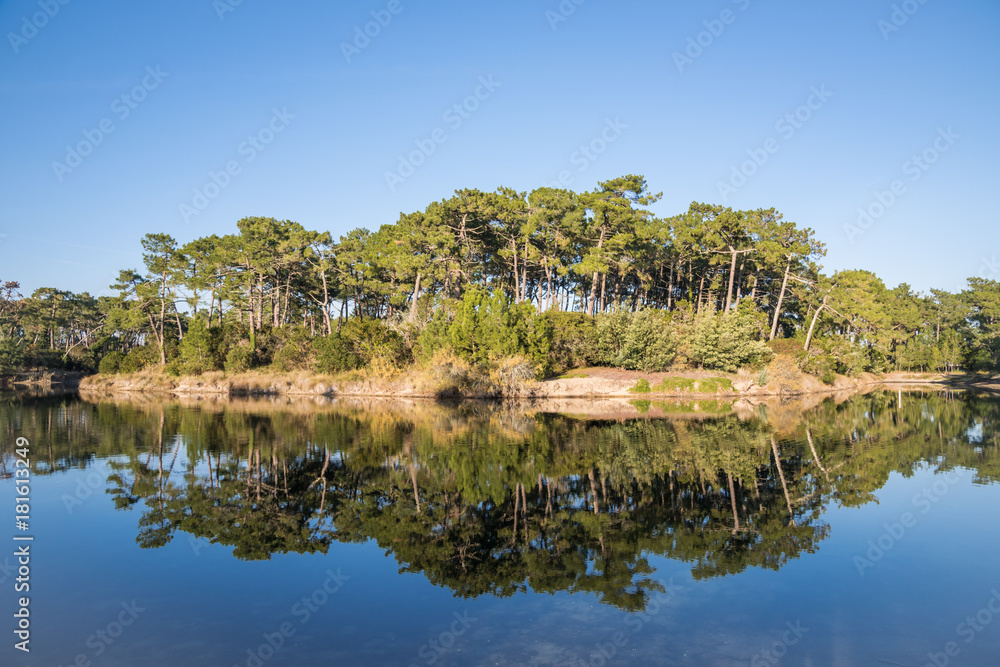 BASSIN D'ARCACHON (France), réservoirs de Piraillan, réserve naturelle BASSIN D'ARCACHON (France), réservoirs de Piraillan, réserve naturelle
