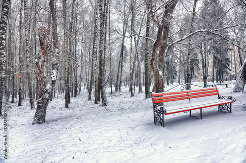 Wallpaper Mural Park bench and trees covered by heavy snow Torontodigital.ca