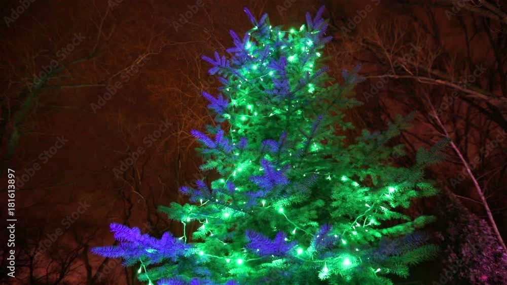 Exterior of modern house or restaurant, the Christmas lights are lit on