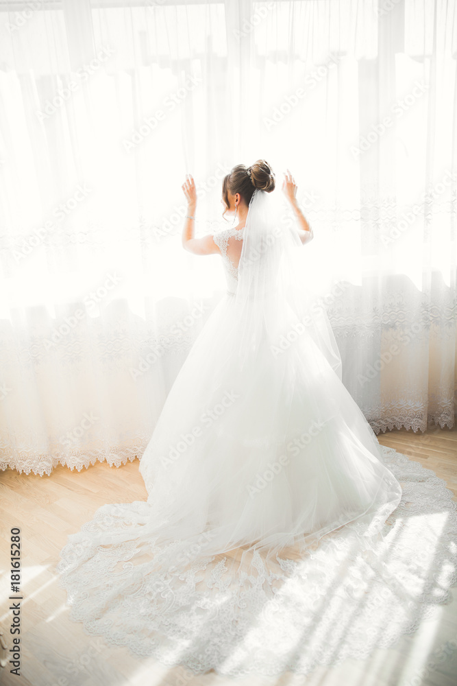 Portrait of beautiful bride with fashion veil at wedding morning Portrait of beautiful bride with fashion veil at wedding morning